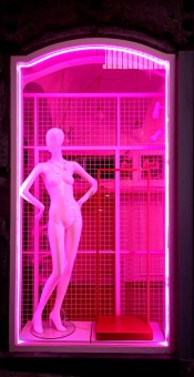 Virginie-Papin-2024-serieDichotomie-Modele