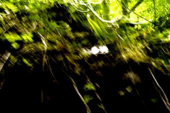 Virginie-Papin-2023-serie-refuge-sphere