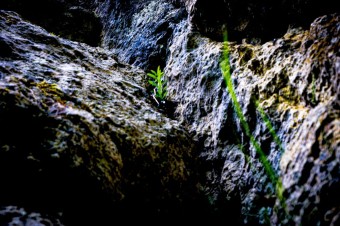 Virginie-Papin-2023-serie-refuge-vie