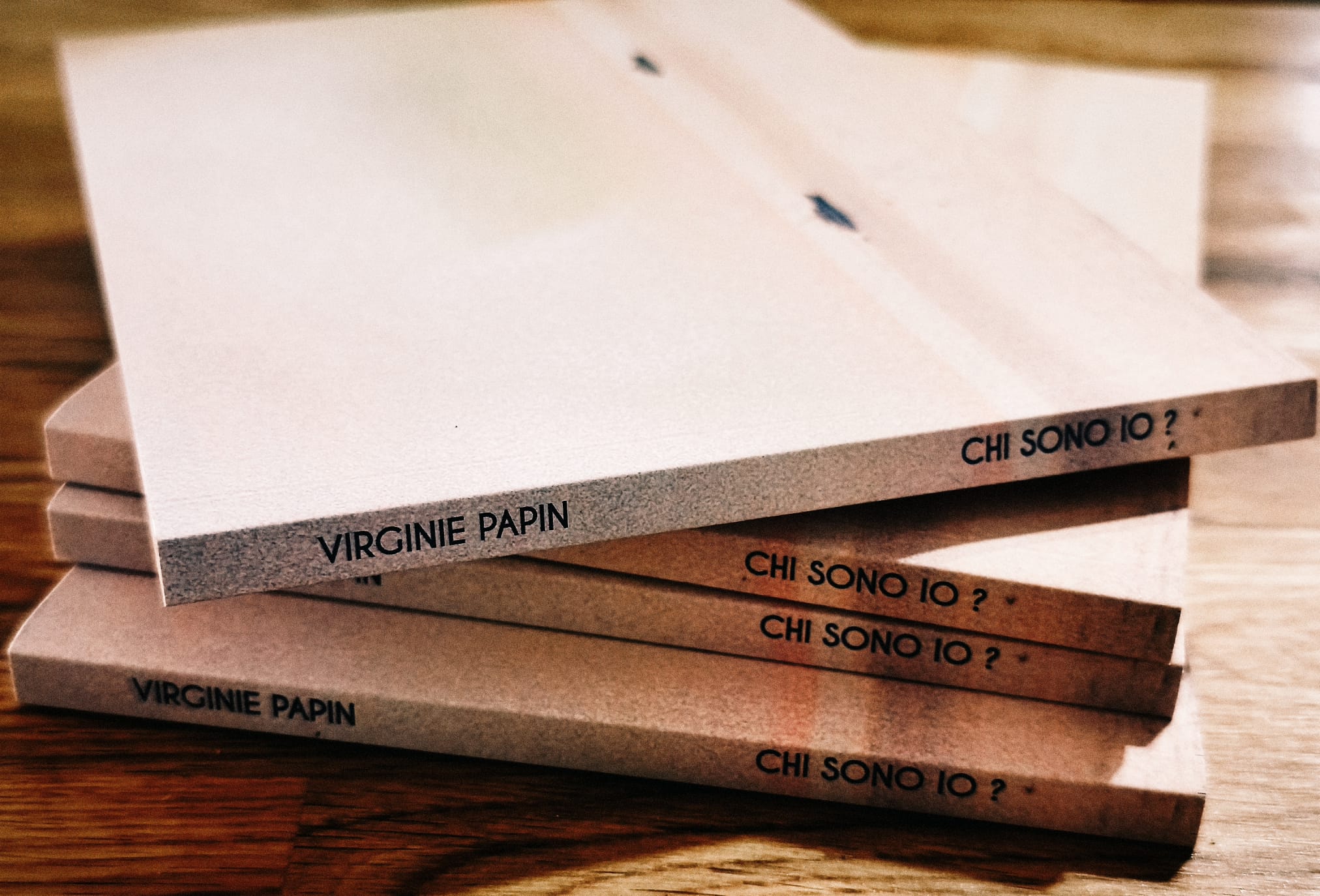 Virginie-Papin-2025-livreChisonoIo1.jpeg
